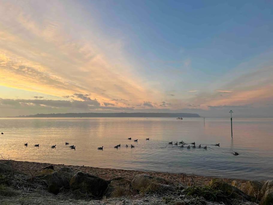The Nook - Cosy Coastal Retreat Near Sandbanks Poole Exteriör bild